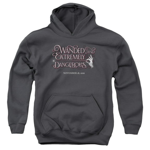 Fantastic Beasts - Wanded - Youth Hooded Sweatshirt - Small
