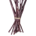 thumbnail image 4 of Vickerman Natural Botanicals 13" x 1-3" Red Gum Branch Brombeer Frosted, 14 stems per unit, 4 of 4
