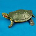 thumbnail image 4 of MasteelfCA High Simulation Brazilian Tortoise Animal Model Marine Organism Decoration for Children Playing (Green), 4 of 8