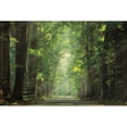 thumbnail image 3 of Podt, Martin 14x11 Black Modern Framed Museum Art Print Titled - Bright Lights, 3 of 5