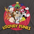 thumbnail image 2 of Looney Tunes Smaller Group Women's T Shirt, Charcoal, X-Large, 2 of 6
