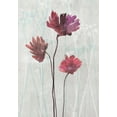 thumbnail image 2 of Roko, Ken 18x24 Gold Ornate Wood Framed with Double Matting Museum Art Print Titled - Blush Blooms 2, 2 of 4
