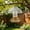 Clear#914, variant on Bird Feeder Rain Guard Weatherproof Squirrel Baffle – Transparent Hanging Dome Cover for Hummingbird, Tube and Tray Feeders – Keeps Bird Dry and Deters Bees for Outdoor Garden Use