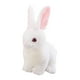 thumbnail image 3 of Lindo conejo de peluche Encantador animal de peluche Conejo abrazable Muñeco de peluche para boda Regalo de Pascua Cestas de Pascua Relleno Favores de Blanco 32cm Sunnimix Conejo de peluche, 3 of 8