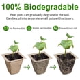 thumbnail image 2 of 240Cells Seedling Starter Trays,20Pack Starter Trays for Planting,Biodegradable Seed Starter Peat Pots for Planting Seeds,Bonus 200 Plant Labels,2pcs Seeding Riser,1 Spray Bottle,Indoor Germination, 2 of 9