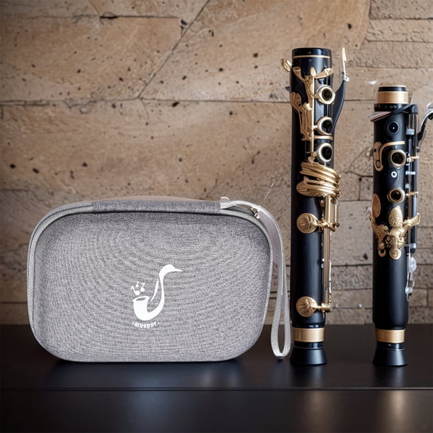Estuche de almacenamiento impermeable Wdftyju para 20 cañas de clarinete