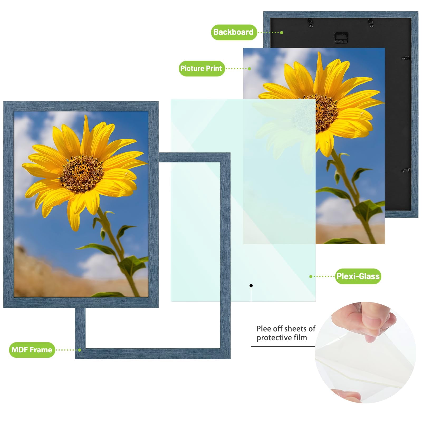 Golden State Art A3 11.7x16.5 Inch Picture Frames with Plexiglass, Blue, Set of 2