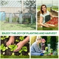 thumbnail image 2 of 10' x 3' Portable Mini Greenhouse, Clear PVC Cover with Steel Frame, 3 Zippered Doors, 2 of 10