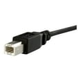 thumbnail image 4 of StarTech.com 1 ft Panel Mount USB Cable B to B - F/M - USB cable - USB Type B (F) to USB Type B (M) - USB 2.0 - 1 ft - molded, thumbscrews - black - USBPNLBFBM1 - USB cable - USB Type B (F) to USB Type B (M) - USB 2.0 - 1 ft - molded, thumbscrews - black - for P/N: USB2HAB10, USB2HAB15, USB2HAB30AC, USB2HAB50AC, USB2HAB6, USB2HABM1, USB2HABM6RA, 4 of 4