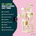 thumbnail image 6 of Amolife 64" Large Cat Tree and Tower with Stair, Condo House & Scratching Posts for Indoor Cats, Beige, 6 of 10