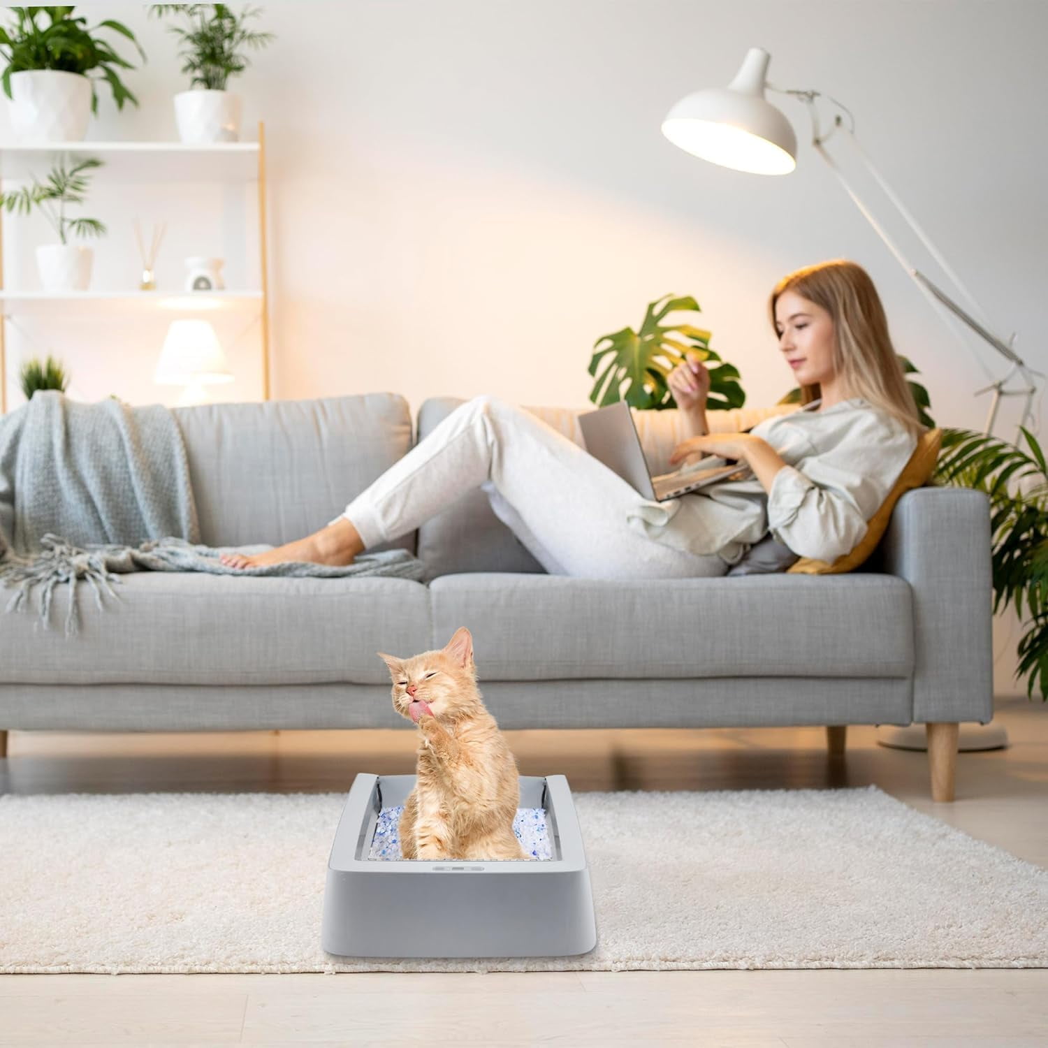 Stainless Steel Reusable Litter Tray Compatible with Petsafe Scoop-Free Self-Cle