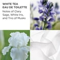 thumbnail image 5 of Set de perfume Elizabeth Arden White Tea Eau de Toilette para mujer, 5 of 5