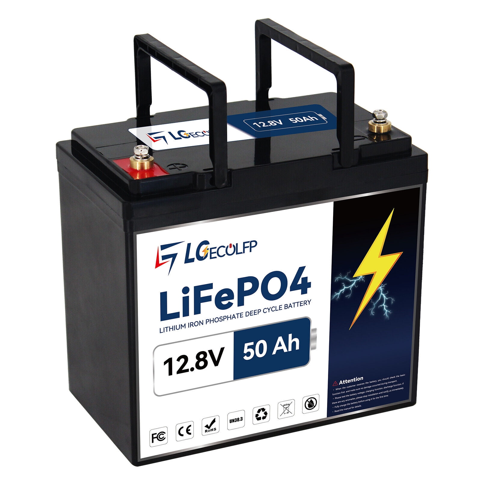 LGECOLFP Lithium Ion 12.8 Volt Vehicle Battery,850 CCA