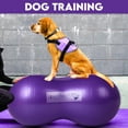 thumbnail image 3 of InnotechSC Peanut Ball - Anti Burst Exercise Ball for Labor Birthing, Physical Therapy for Kids, Core Strength, Flexible Seating, Home & Gym Fintness, sensory chair Wiggle Seat (Include Pump), 3 of 7