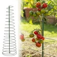 thumbnail image 3 of CNKOO Spiral Plant Support Frame - Multi-circle Stretchable Flower Climbing Rack for Growth Promotion (Gardening Tools), 3 of 8
