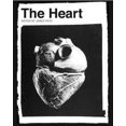 thumbnail image 2 of The Heart (Collection Wellcome Trust), 2 of 2