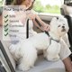 thumbnail image 5 of Cinturón de nailon para perro, arnés universal ajustable para coche para perros y gatos con amortiguación, correa 2 en 1, cinturón de seguridad duradero para mascotas para viajes (negro), 5 of 5