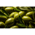 thumbnail image 4 of Al'ARD Extra Virgin Olive Oil First Cold Pressed 750mL / 25.36fl.oz. One (1) Bottle - زيت زيتون الأرض الفلسطيني, 4 of 9