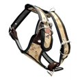 thumbnail image 3 of Pechera Para Perro Boxer Husky Labrador O Similar Talla #5, 3 of 4