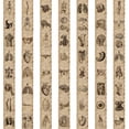 thumbnail image 2 of Mashaouyo Stickers Human Skeleton Schematic Sticker Luggage Guitar Notebook DIY Sticker Decoration, 2 of 4