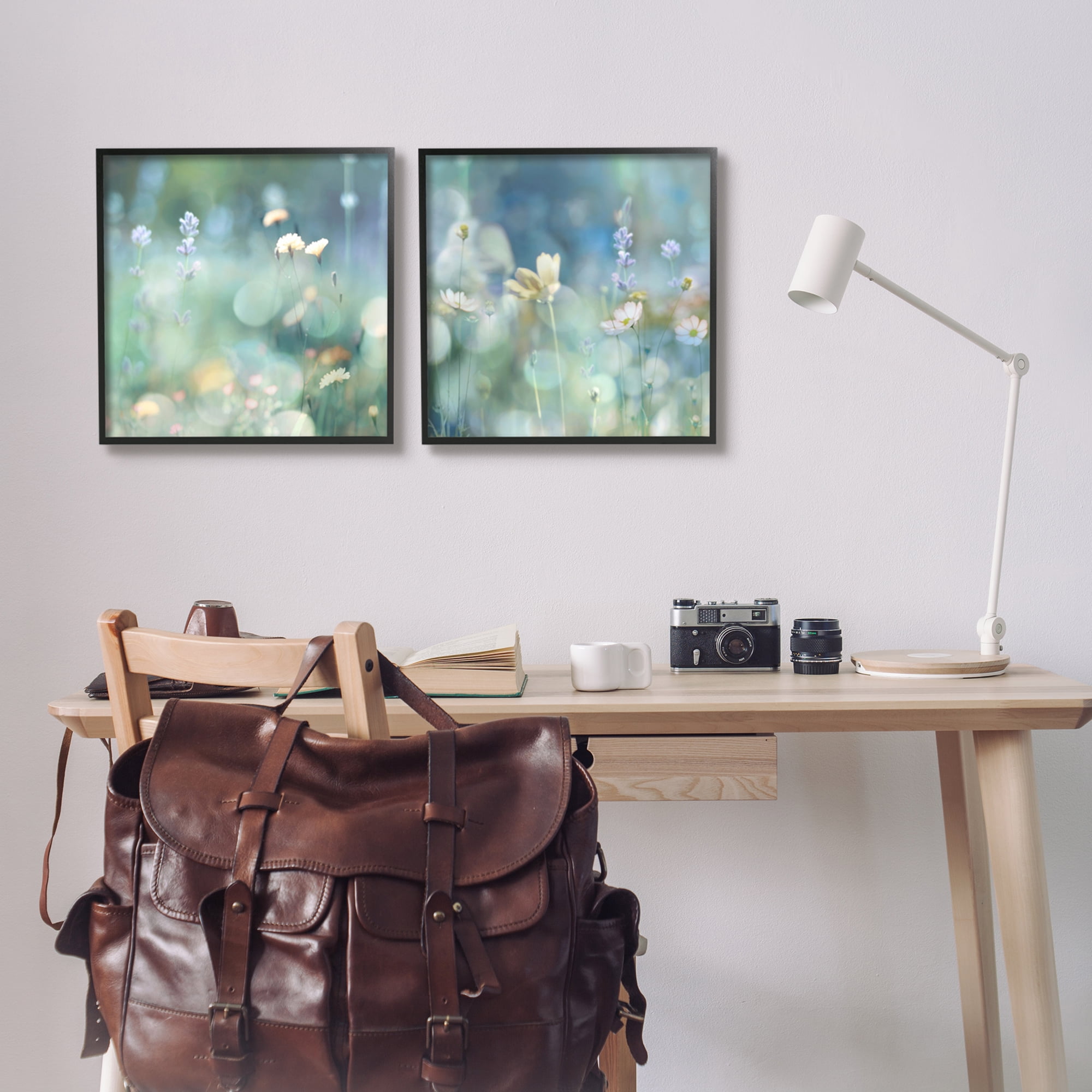 Stupell Industries Sunlit Daisy Field Botanical & Floral Photography Black Framed Art Print Wall Art, 17 x 17