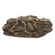thumbnail image 1 of Decoración de acuario con fósil de dinosaurio, adorno de resina para reptiles, artesanía de animales para decoración de peceras, 1 of 14
