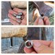 thumbnail image 4 of BRIGHTFUFU 8Ud Peñas Reforzadoras De Metal Para Mango De Martillo Resistentes Y Compactas Uso Doméstico Y Construcción, 4 of 7