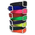 thumbnail image 7 of Regal Dog Products Waterproof Collar with Black Hardware - Easy to Clean, Water Resistant, Double Buckle & Center Ring, 7 of 7