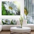 thumbnail image 1 of Single Beautiful Daisy Flower - Large Flower Canvas Art Print, 1 of 3