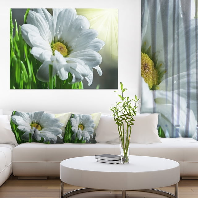 Single Beautiful Daisy Flower - Large Flower Canvas Art Print