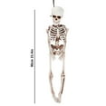 Clearance Desktop Ornament under 1 Halloween Skeleton Life Size Full