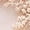 Beige, variant on Women No Show Socks Ultra Low Cut Liner Socks Sling Back Toe Topper Sock Half Covers for Heels Dress Sneakers