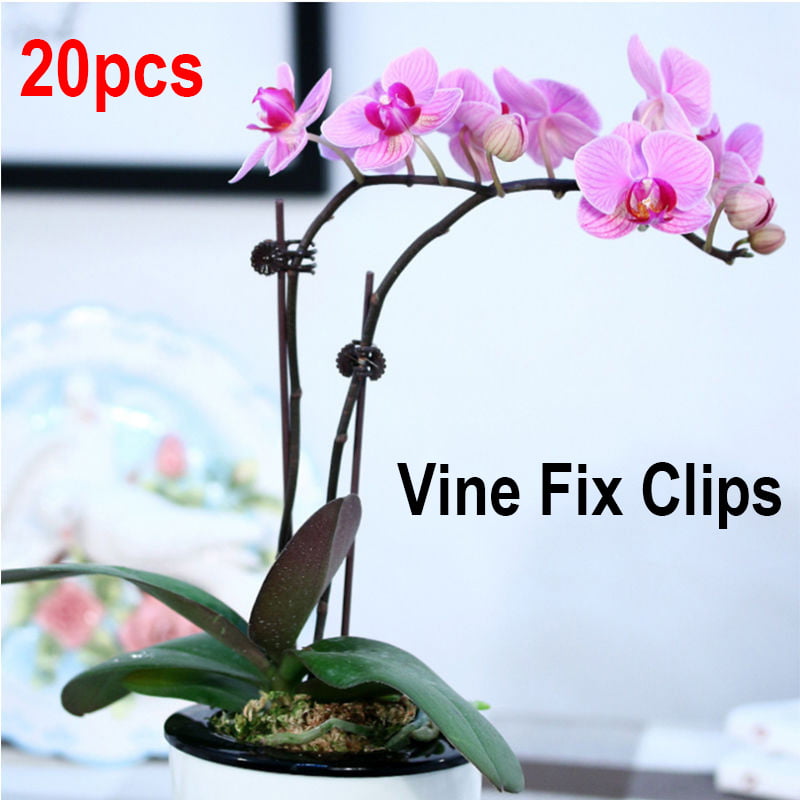 20X Garden Plant Clips Tomato Tie Stem Orchid Support Weatherproof Grow Fixing