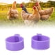 thumbnail image 3 of Pata de pollo 100 Uds patas de pato gallina ganso anillos Clip para aves de corral ANGGREK  Otros, 3 of 8