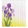 thumbnail image 3 of Garden Art Shower Curtain, Flowers of Iris with Green Leaves Gardening Plants Spring Morning, Fabric Bathroom Set with Hooks, 69W X 75L Inches Long, Violet Green and Yellow, by Ambesonne, 3 of 3