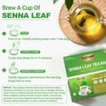 thumbnail image 5 of LeafLea 80 Senna Leaf Tea Bags – Natural Herbal Laxative Tea, Supports Gentle Constipation Relief, Caffeine-Free, Sugar-Free, 5 of 17