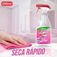 thumbnail image 4 of Windex Shower Clean Limpiador de Regadera en Gatillo 640 mL, 4 of 5