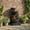 Black & 29" H, variant on 29" H Terrazzo Style Outdoor Water Fountain, 4-Tier Cascading Bowls with Stacked Stone Design and LED Lights, Freestanding Resin Water Feature for Garden Patio Porch