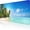 Beach Sea Tropical Trees, variant on Gaming Mouse Pad Desk Pad,Extended Big Mouse Pad,31.5x11.8 Inch Long Computer Keyboard Mouse Mat Mousepad with Non-Slip Base and Stitched Edge for Gaming and Office Hexagon