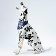thumbnail image 5 of Manchons Protecteurs de Jambes pour Chiens et Chats Réutilisables Respirants pour Activités Intérieures et Extérieures, 5 of 5