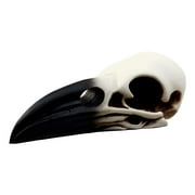 Ebros Edgar Poe Gothic Raven Skull Statue 7"Long Crow Scavenger Bird Ossuary Figurine Corvus Corax Fossil Sculptural