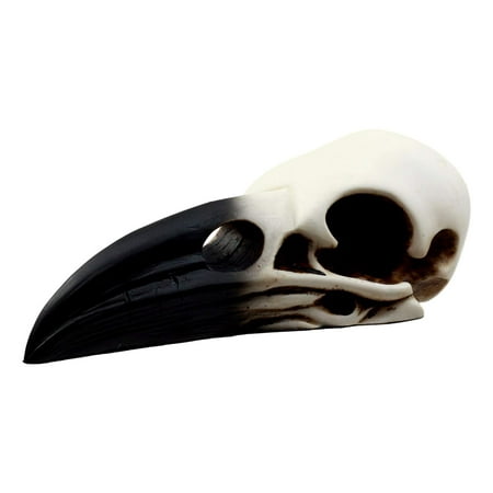 Ebros Edgar Poe Gothic Raven Skull Statue 7