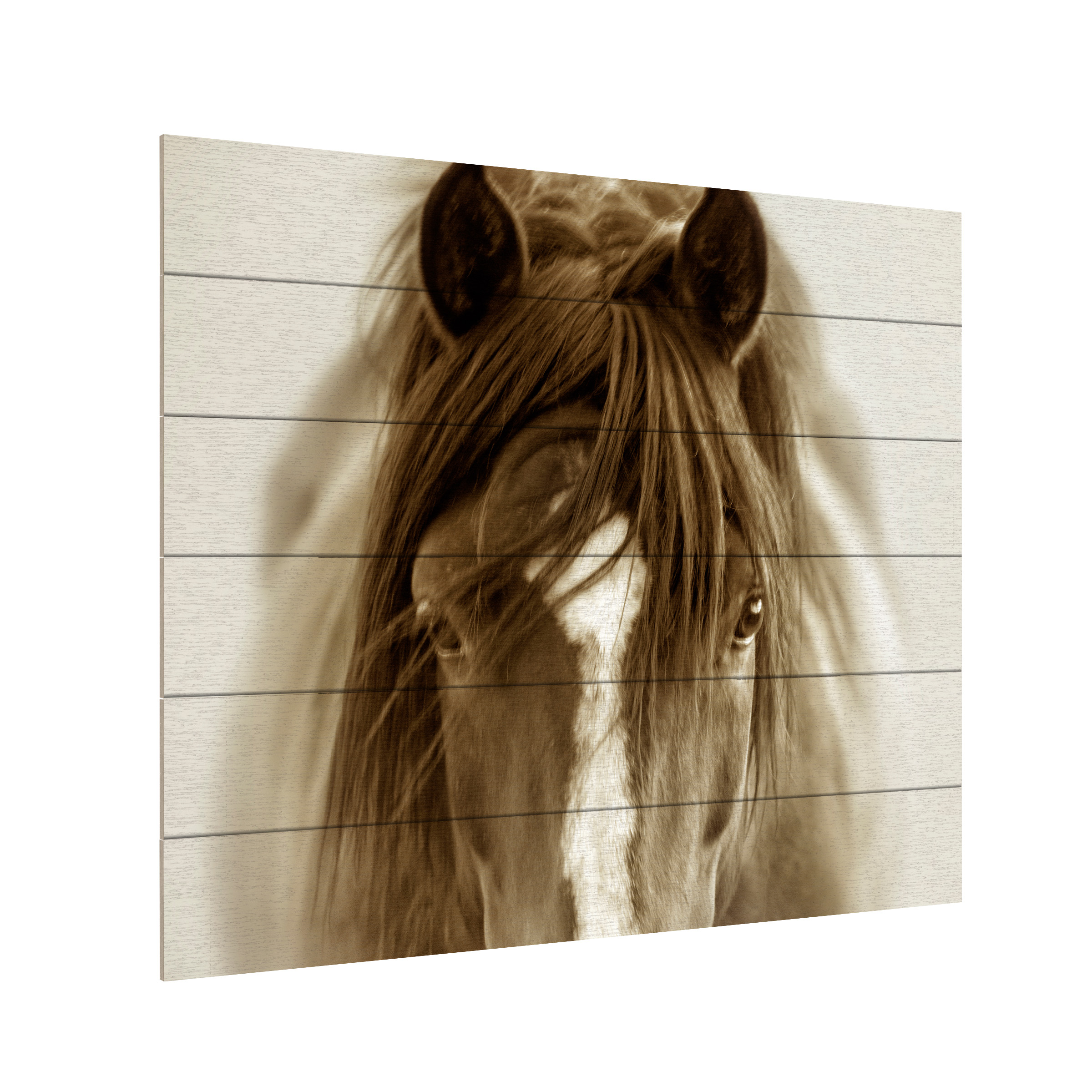 Lisa Dearing 'Ghost Horse' Wood Slat Art 18x22