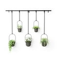 thumbnail image 1 of Umbra Triflora Hanging Planter, Set of 5, 1 of 9