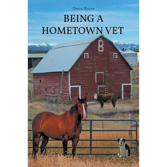 Being a Home Town Vet, (Paperback)
