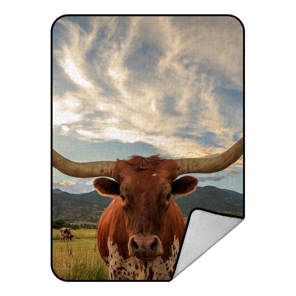 ECZJNT Texas Longhorn Steer Rural Utah Usa Throw Blanket Fleece