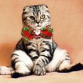 thumbnail image 3 of Collier Nœud Papillon Chat Fête Festive avec Design Imprimé Bande Texturée Douce Tissée, 3 of 4