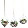 thumbnail image 1 of Glass Hanging Terrarium Set Of 3 In Large Size- Succulent/Moss/Air Plant Terrarium - 3, 1 of 6