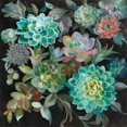 thumbnail image 2 of Floral Succulents Poster Print by Danhui Nai, 2 of 2