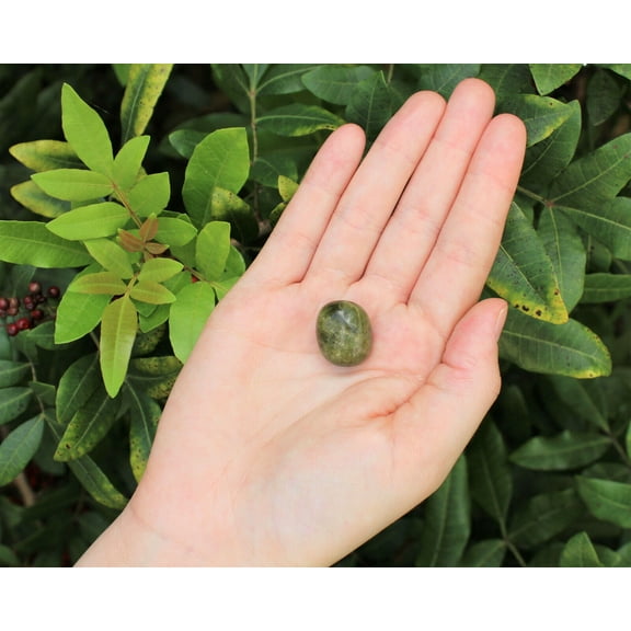 1 Vesuvianite Tumbled Stone Crystal Healing (Idocrase) (Gemstone)